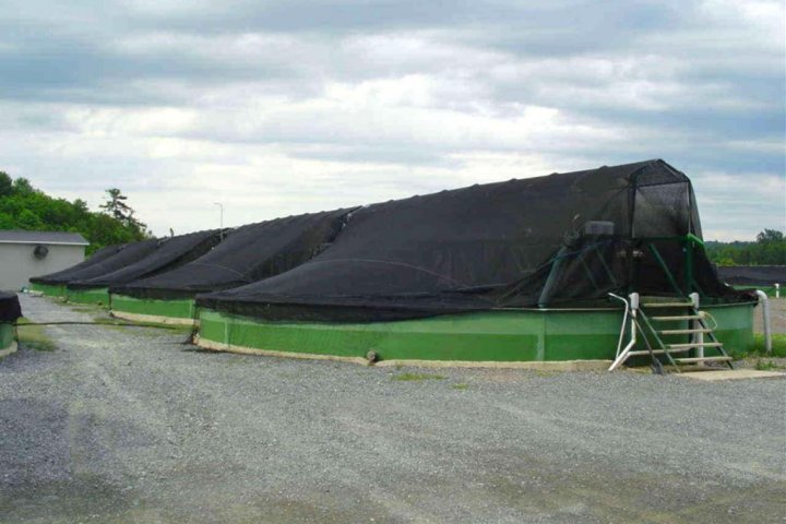 90% - 95% Shade Net