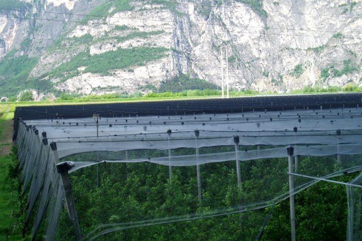Anti Hail Net