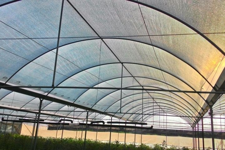50% - 55% Shade Net