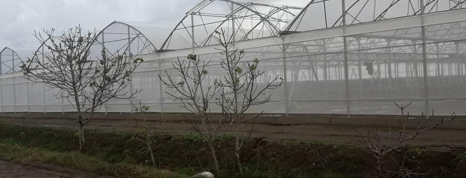 Kızıklı Ambalaj San. Tic. Ltd. Şti.
