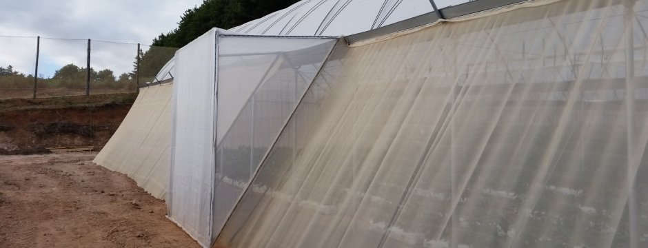 Kızıklı Ambalaj San. Tic. Ltd. Şti.